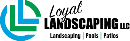 A logo with overlapping blue and green semicircles forming a "C" shape on the left. The text "Loyal" is written in cursive above the word "Consulting" on the right.