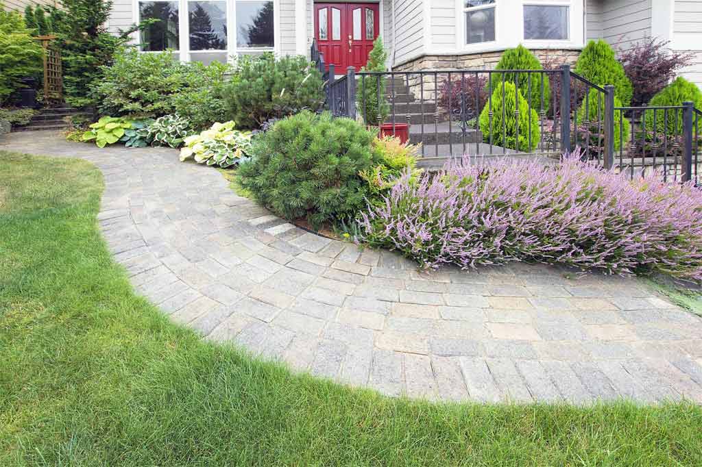 Gorgeous landscaping along walkway to house.