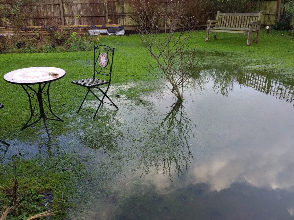 A flooded backyard due to poor drainage Standing water in backyard