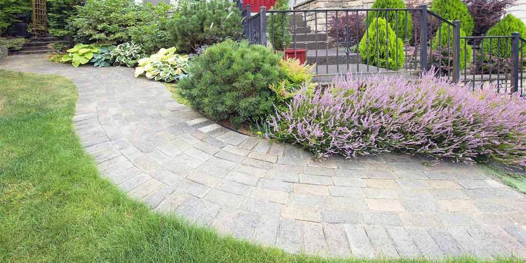 Gorgeous landscaping along walkway to house.