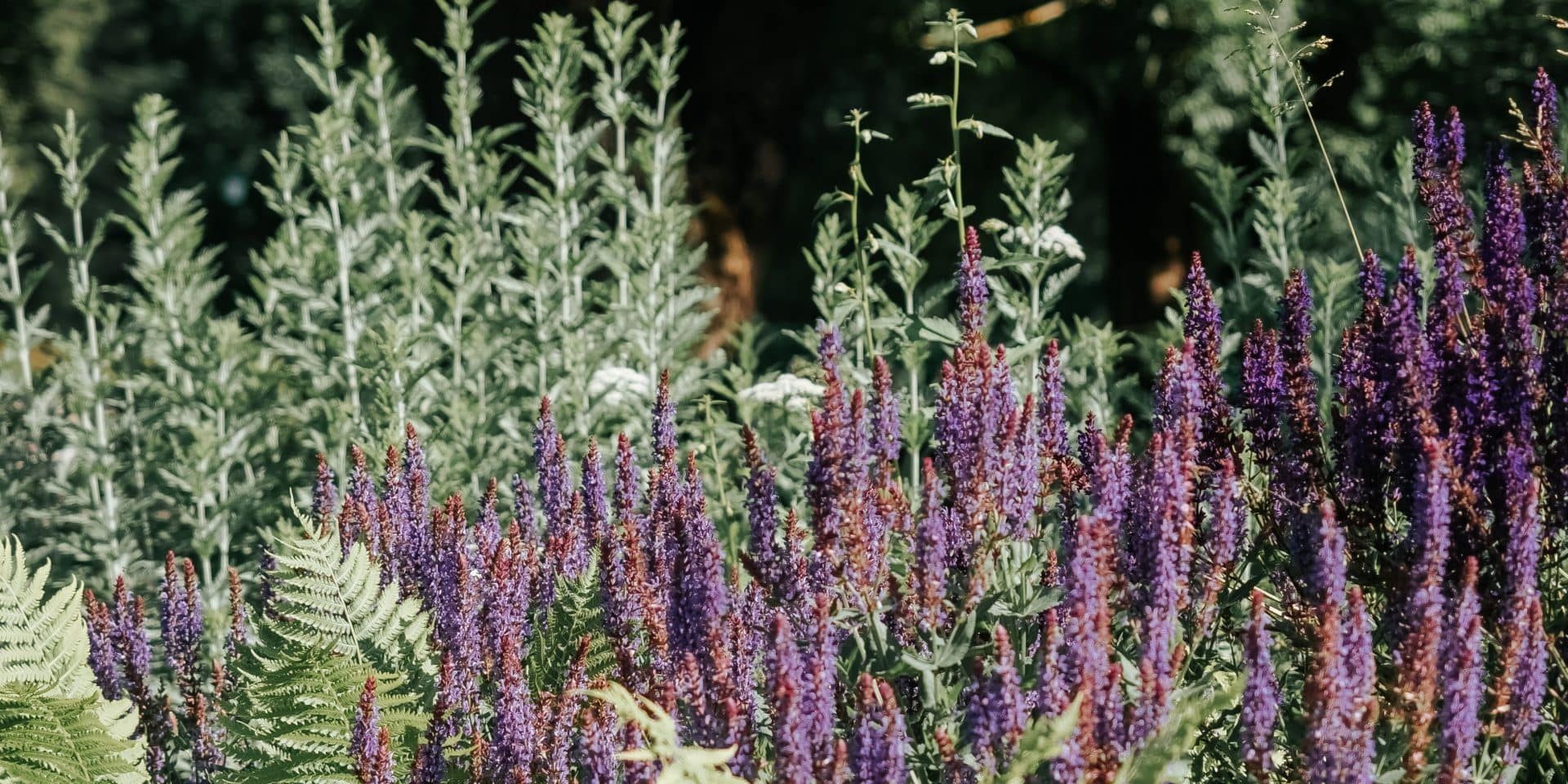 loyal landscaping Landscaping Installation