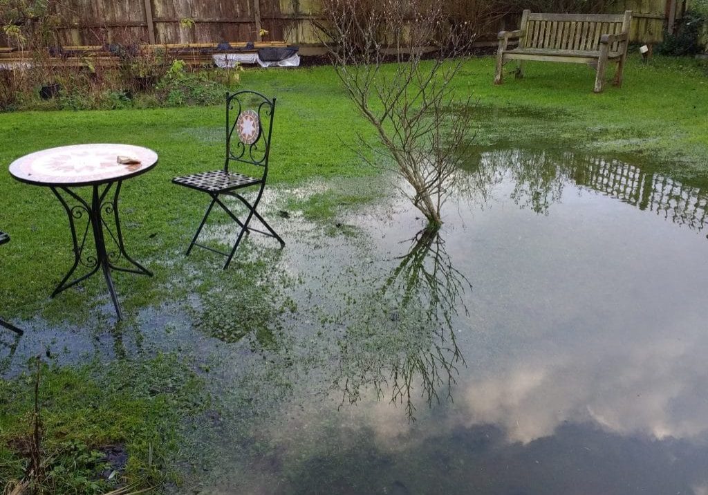 Standing water in backyard